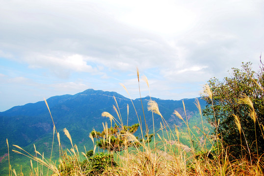 高山景色