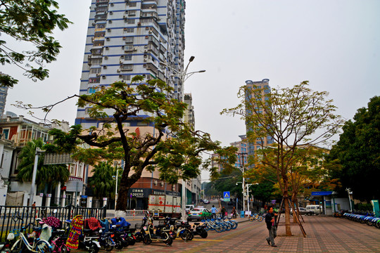 厦门街头风景