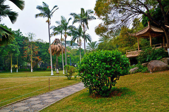 公园绿化风景