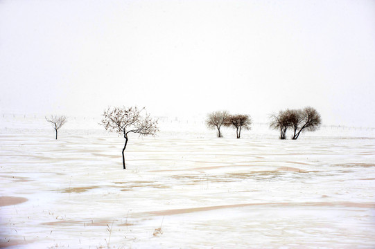 东北雪乡