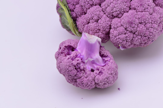 紫菜花