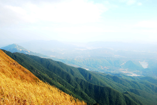 高山景色