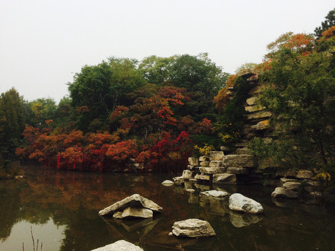 秋季红叶美景