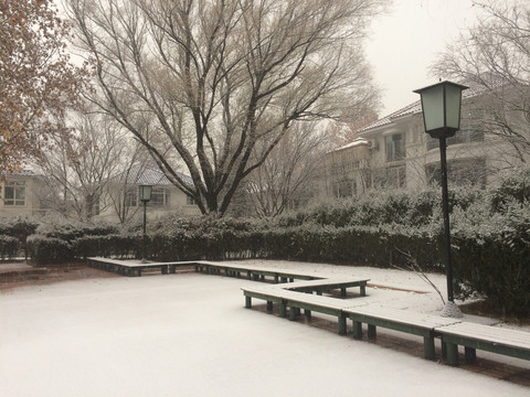 庭院雪景