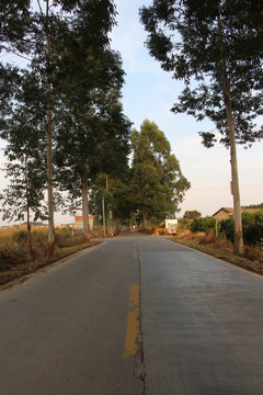 公路