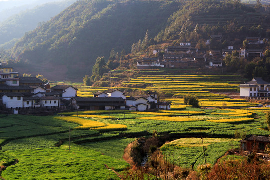 山乡春色美