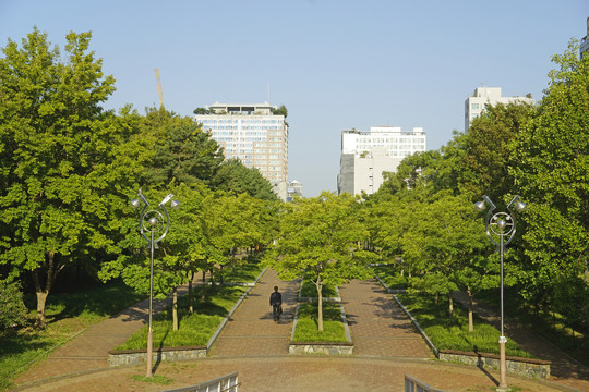 韩国水原孝园公园林荫中的健身道