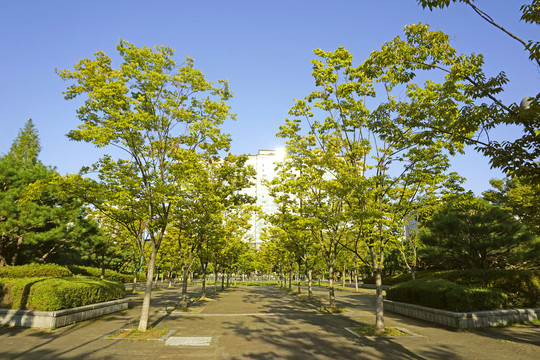 韩国水原公园的户外健身道