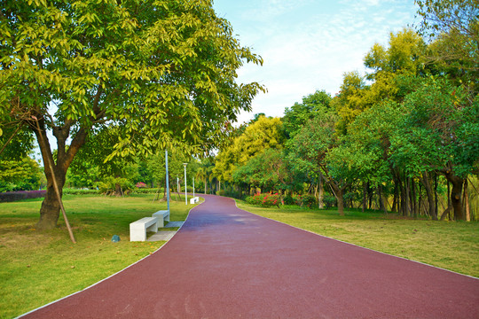 公园道路美景