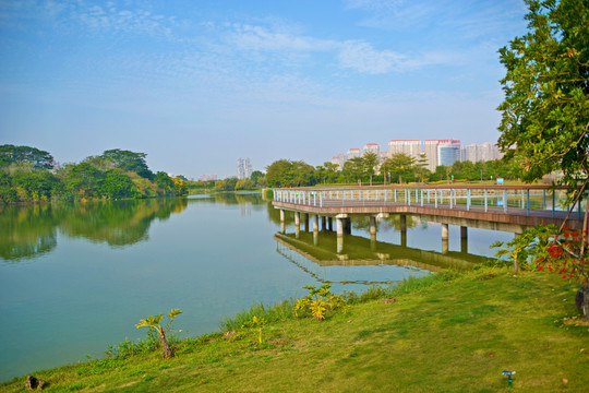 漳州碧湖生态公园