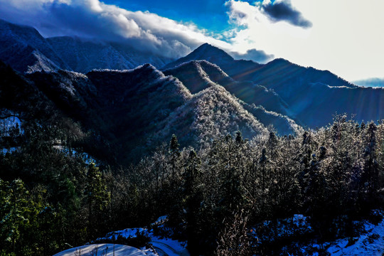 雪景