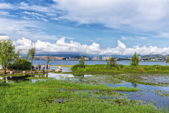 大理洱海湿地公园