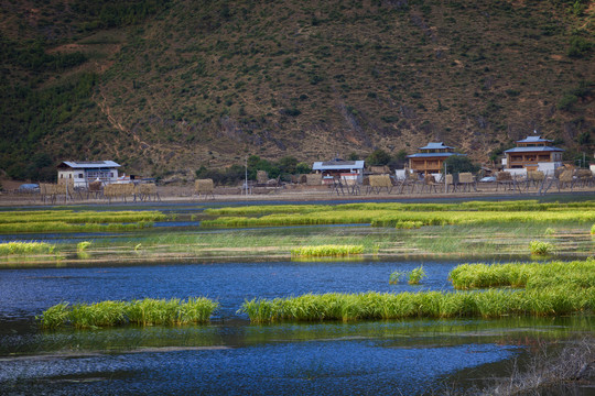 纳帕海湿地