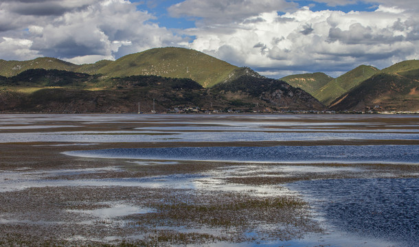 纳帕海湿地