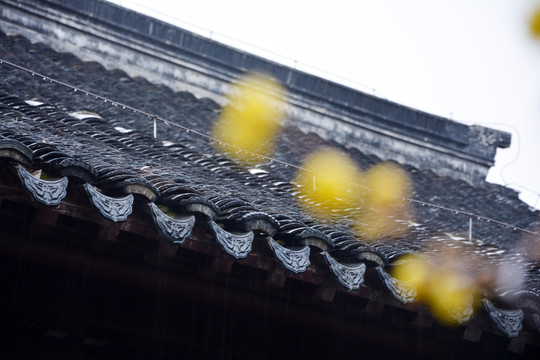 屋檐雨水