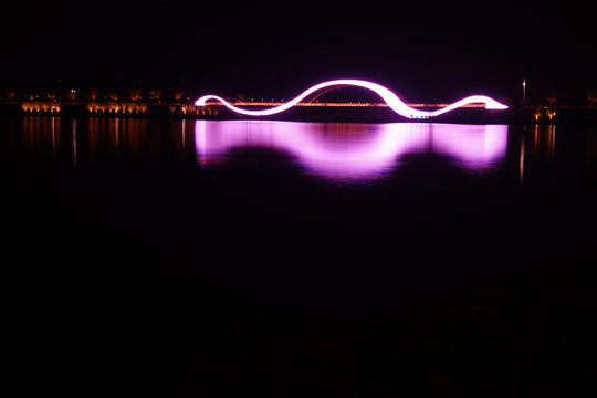 八里湖鹤问桥夜景