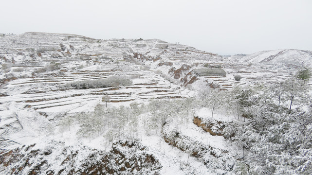 高原雪景