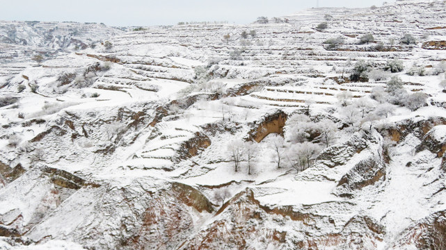 冬季雪景