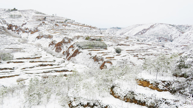 冬季雪景