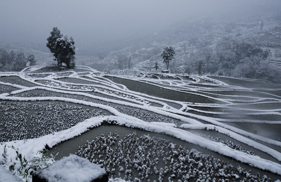 元阳梯田雪景