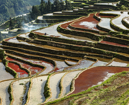 加榜梯田