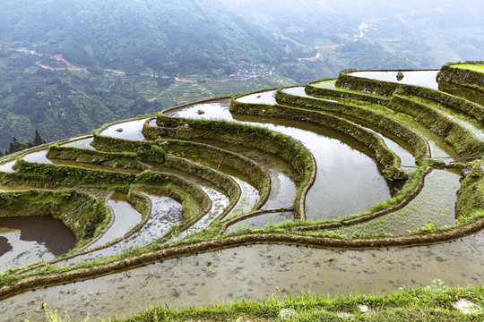 加榜梯田