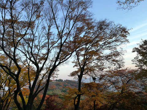 山林秋景