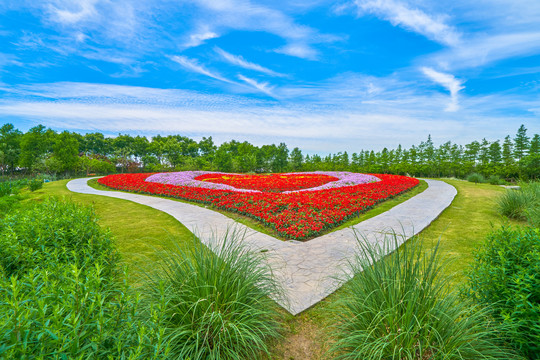 高清花海