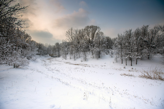 雪景