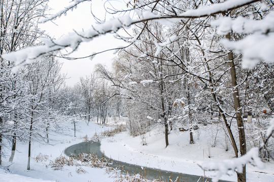 雪景