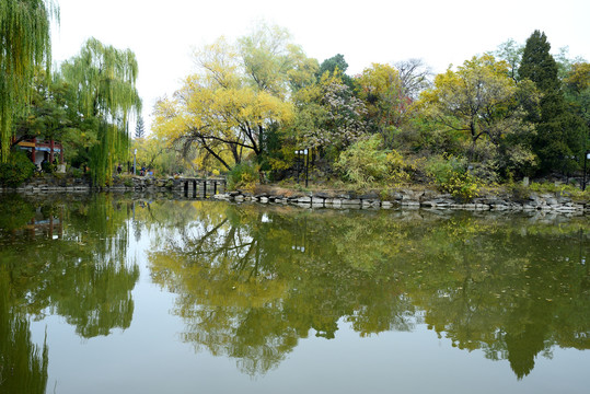 北京大学