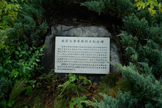 北京大学烈士纪念碑