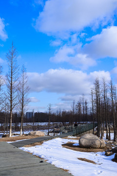 雪景