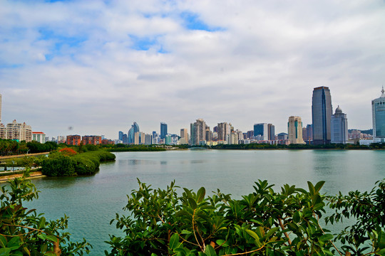 厦门海湾公园风景