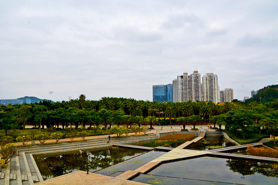 厦门海湾公园风景