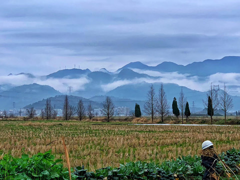 雨后的农田