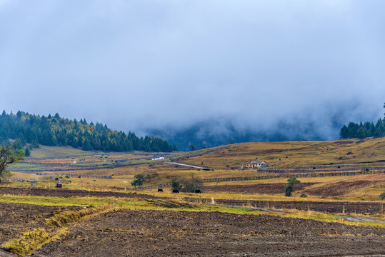 中国西藏林芝鲁朗扎西岗村秋景