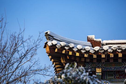 冬日雪景