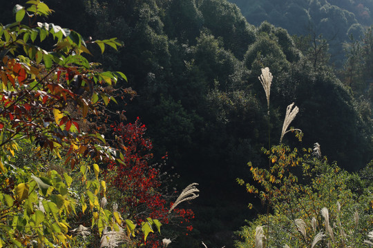 山野秋景