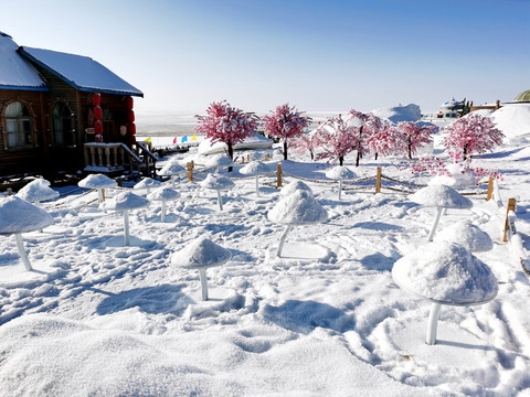 雪蘑菇