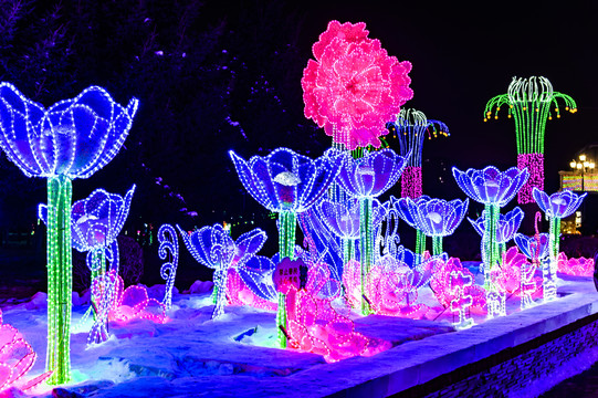 中国长春公园大型冰雪灯光展景观