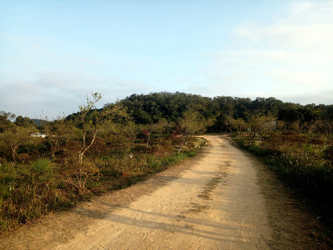 道路土路