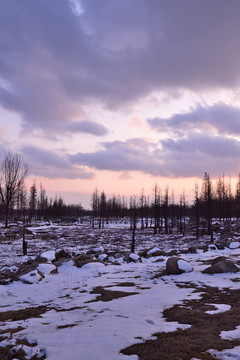 雪后夕阳