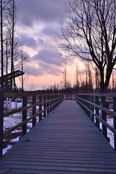 雪后夕阳