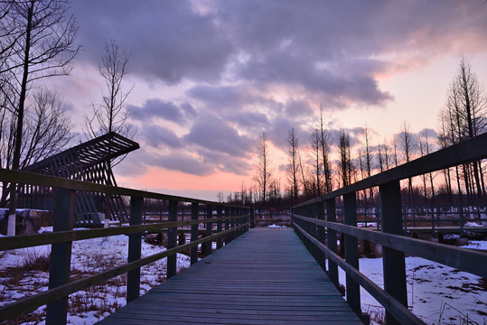 雪后夕阳