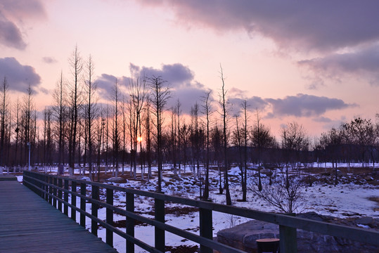 雪后夕阳