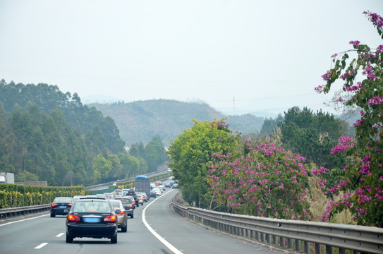 高速公路塞车