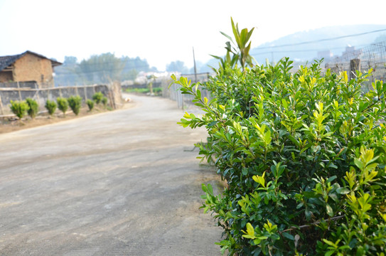 乡村道路