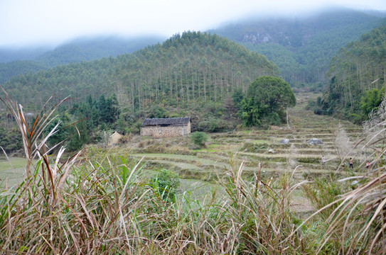 山区农村