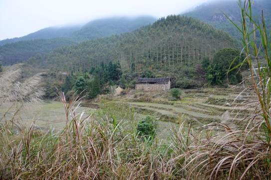 山区农村